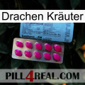 Drachen Kräuter 35